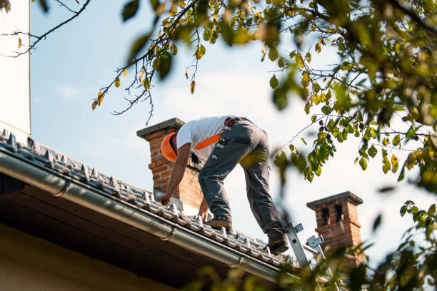 Quick and Trustworthy Emergency Roof Repair Services in Maple Grove, MN