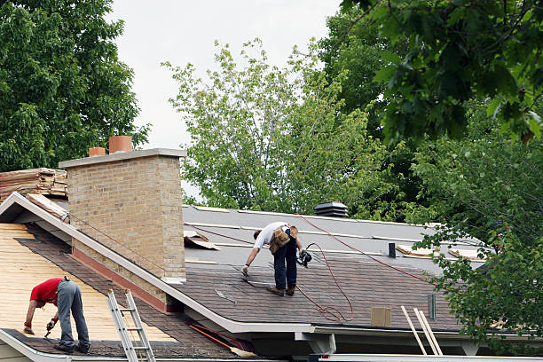 Quick and Trustworthy Emergency Roof Repair Services in Maple Grove, MN